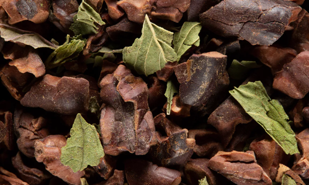 Cacao menthe