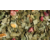 Damann maté citron cerise