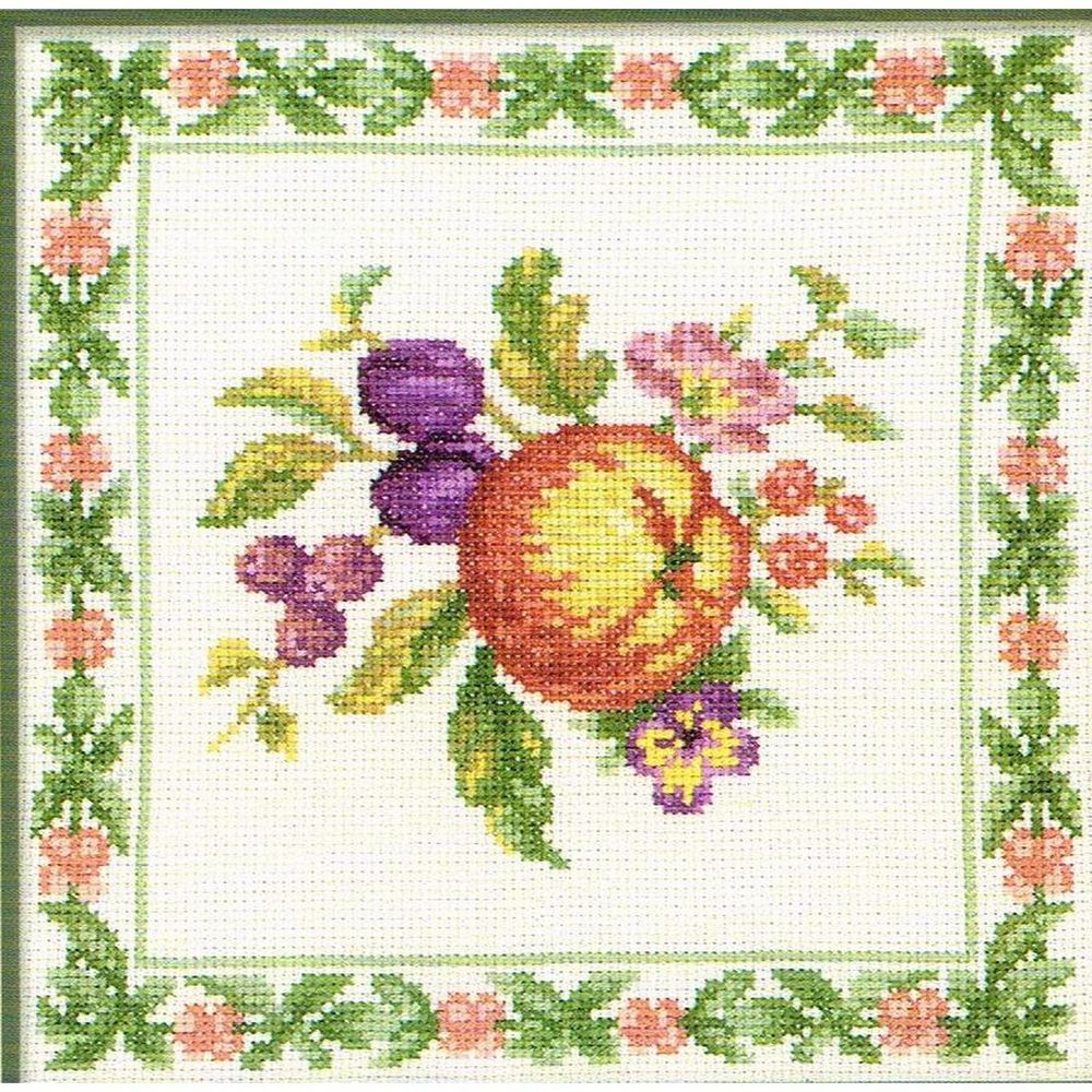 RTO-M039-Prunes-Pomme-