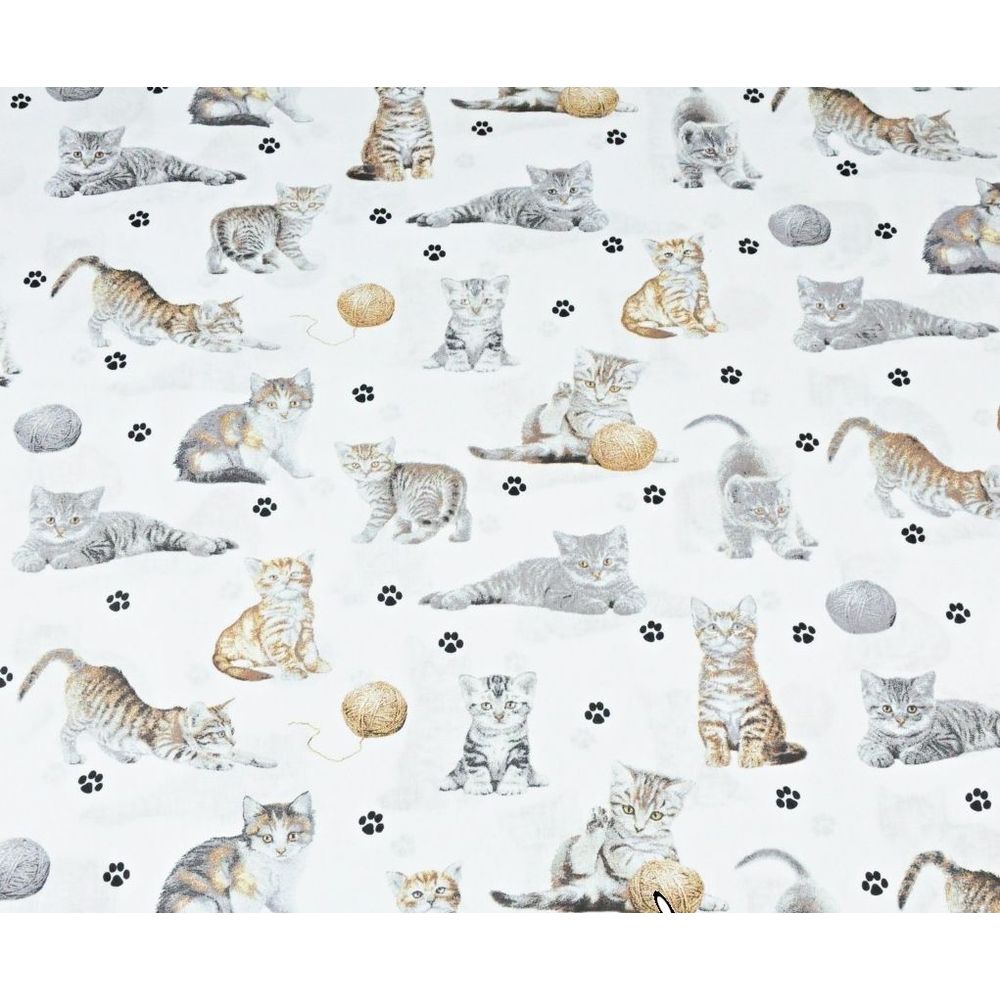 cotton-beige-cats-on-white-background