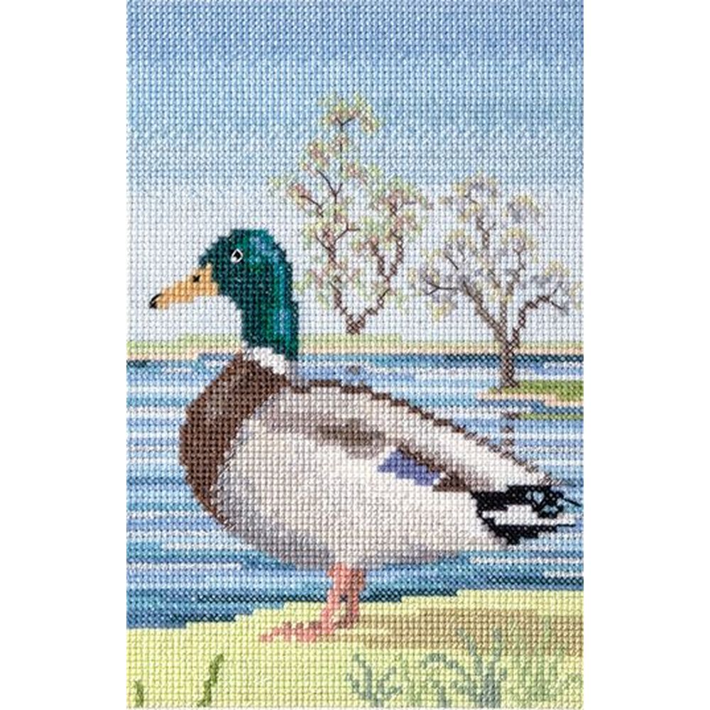 Bothy Threads WIL8 - Faune – Canard colvert 1