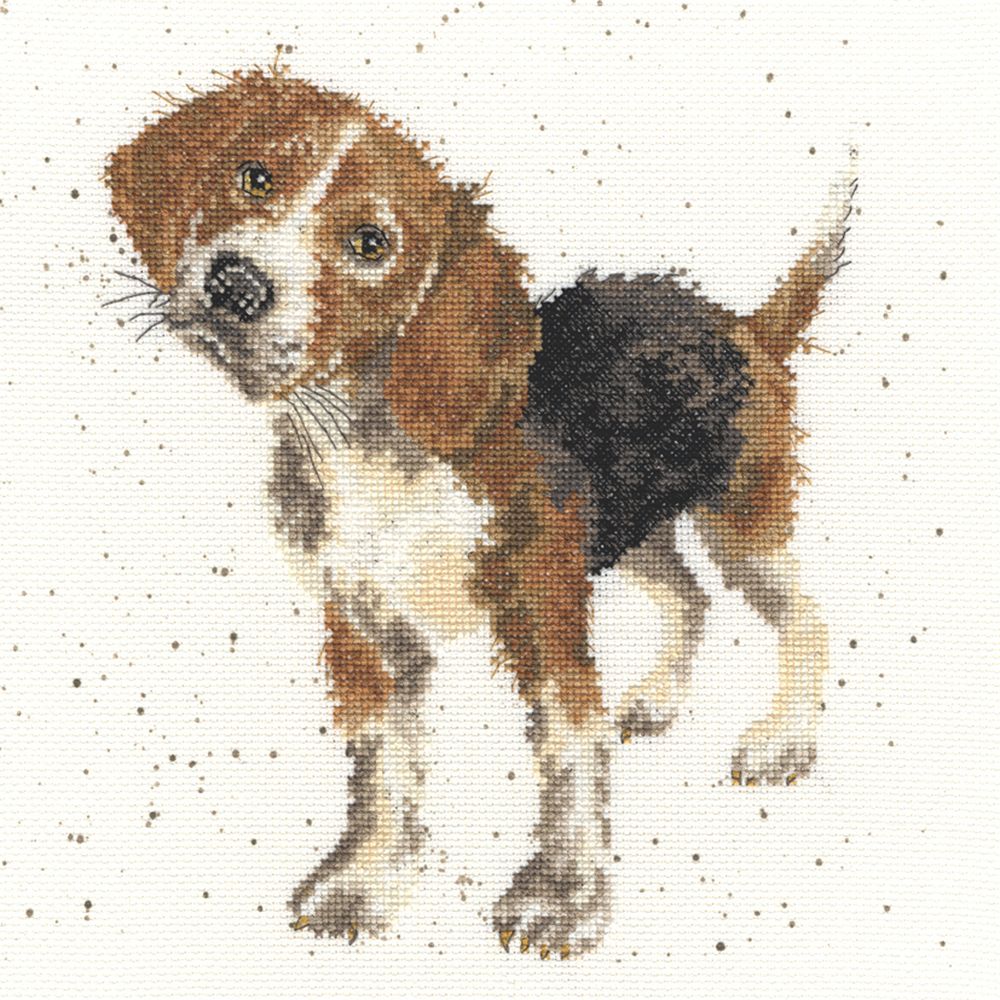 Beagle - XHD12 - Bothy Threads - Kit Aida