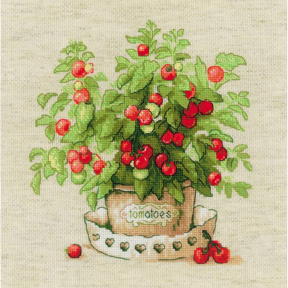 Tomates en pot - 1983 Riolis