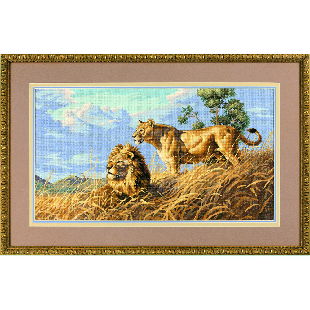 African Lions - Dimensions 03866