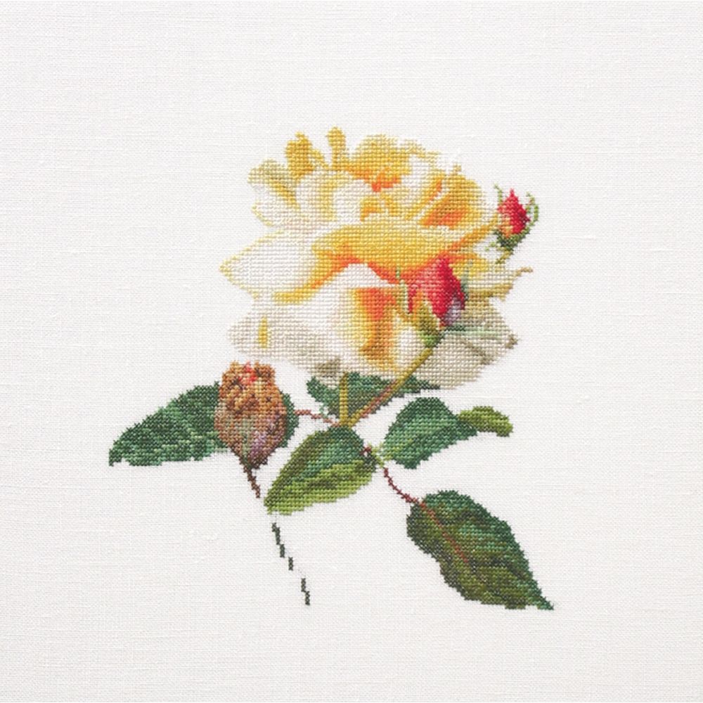 Thea Gouverneur - 416 lin - Rose Jaune