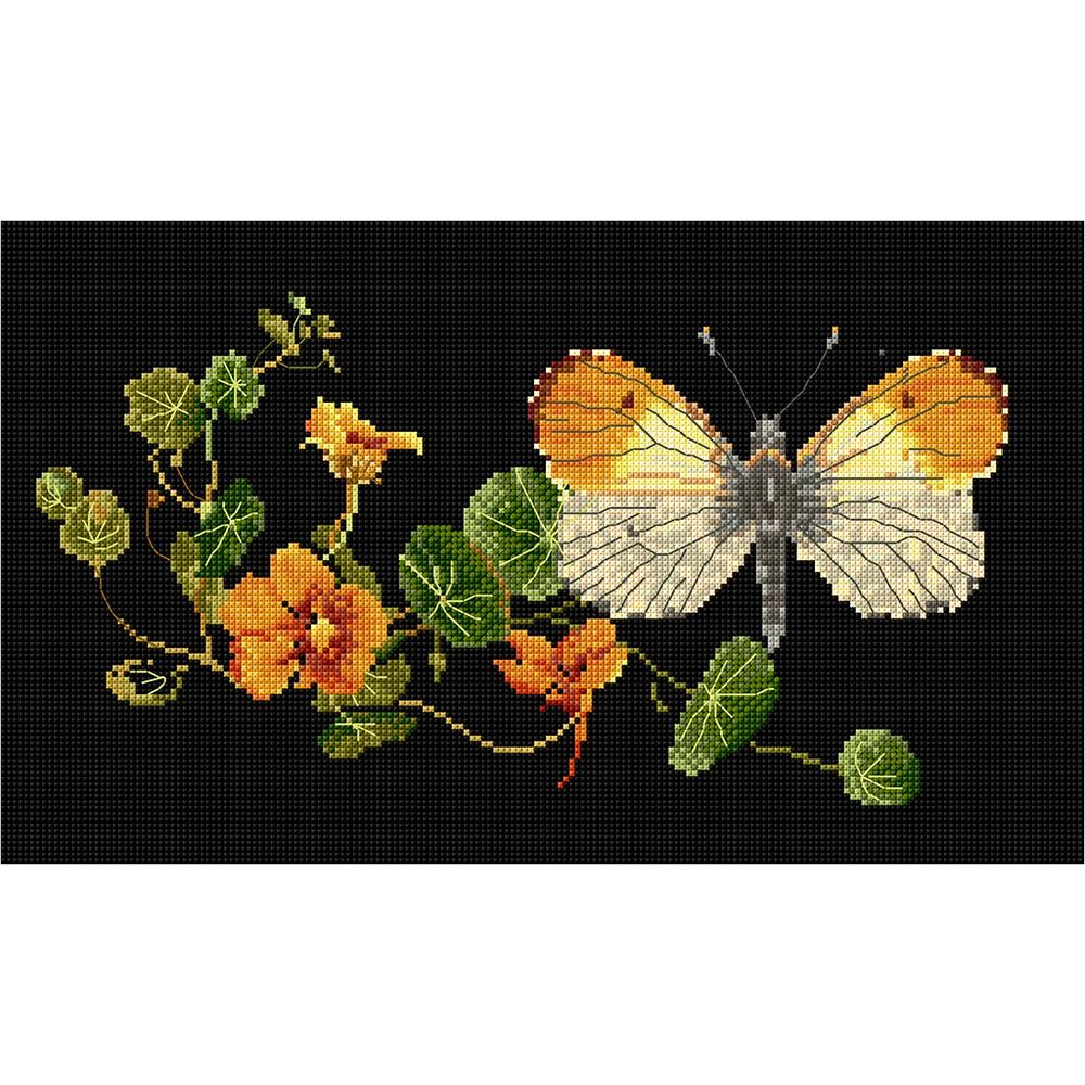 Thea Gouverneur - 437-05 - Papillon Nasturtium