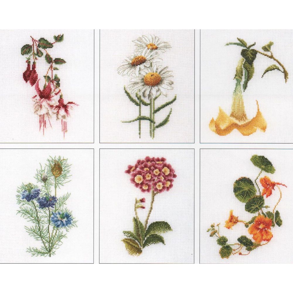 Six études Floral IV - 3084 Lin - Thea Gouverneur