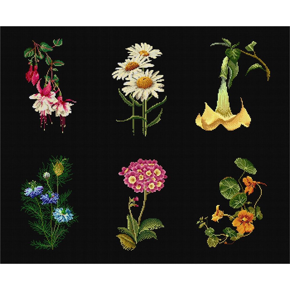 Six études Floral IV - 3084-05 - Thea Gouverneur