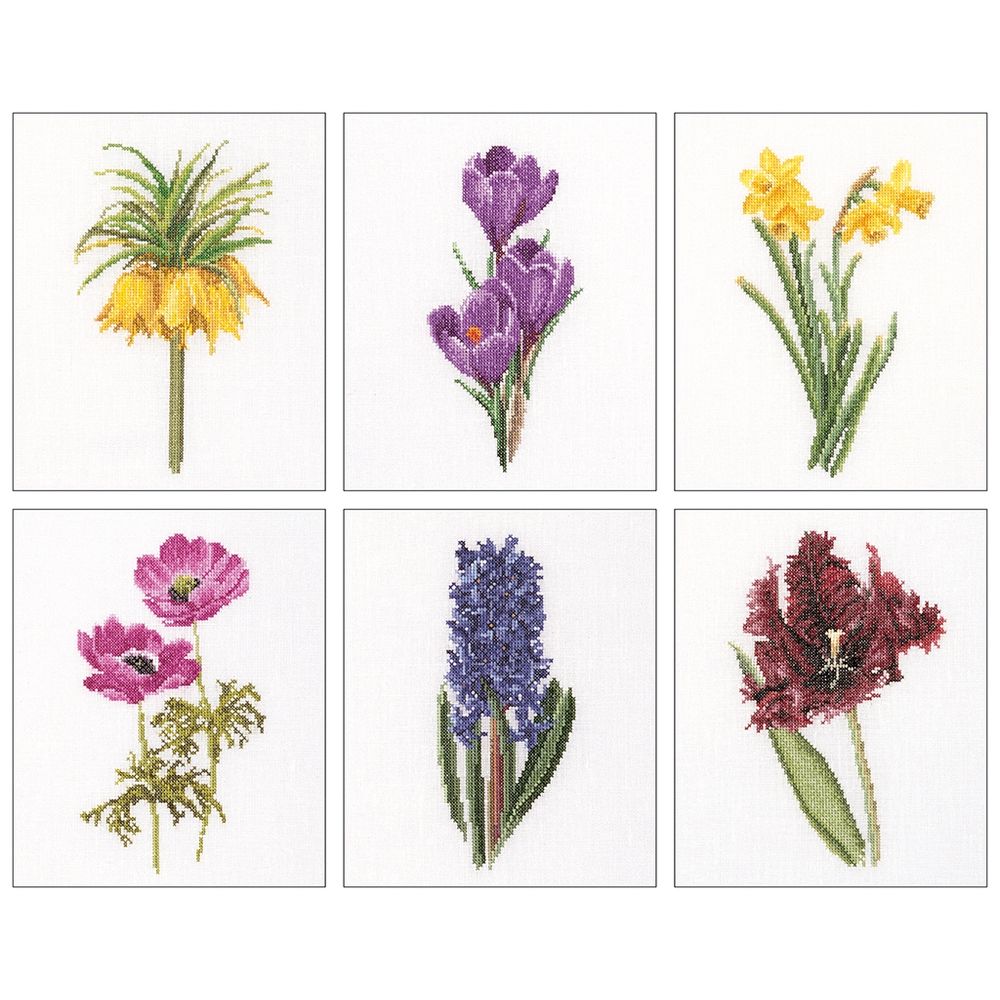 Six études floral III - 3083 lin - Thea Gouverneur