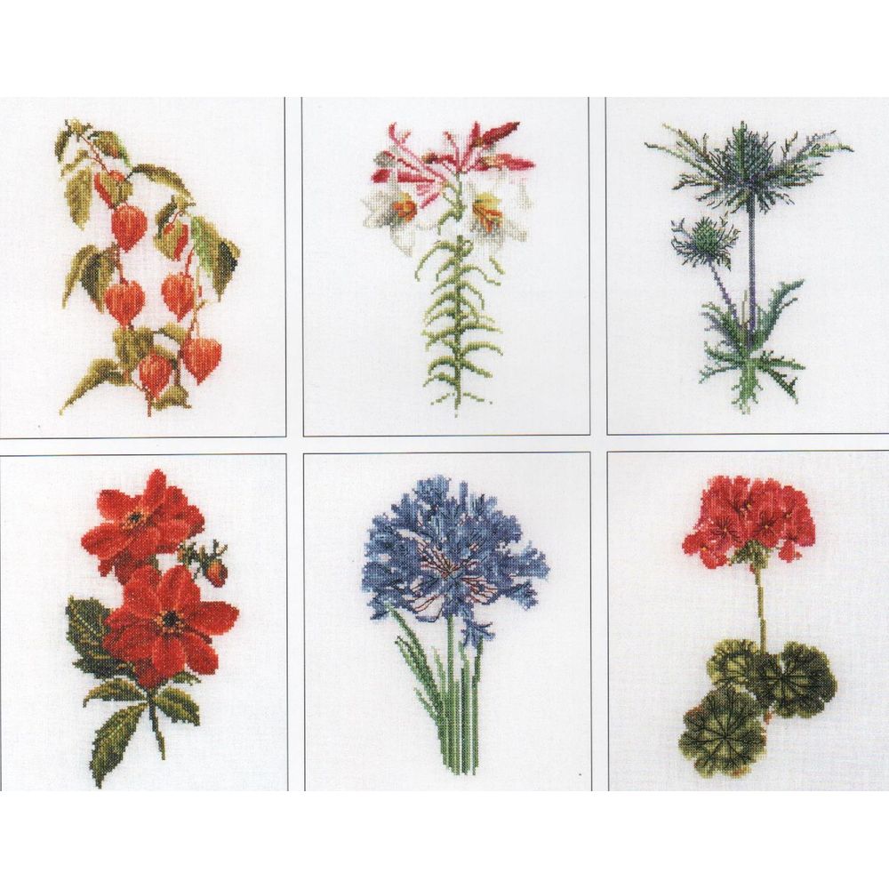 Six  études  floral  II - 3082 lin - Thea Gouverneur