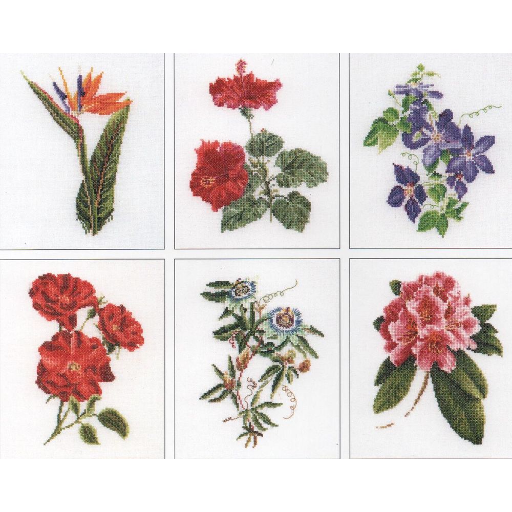 Six étude florales - 3081 lin - Thea Gouverneur