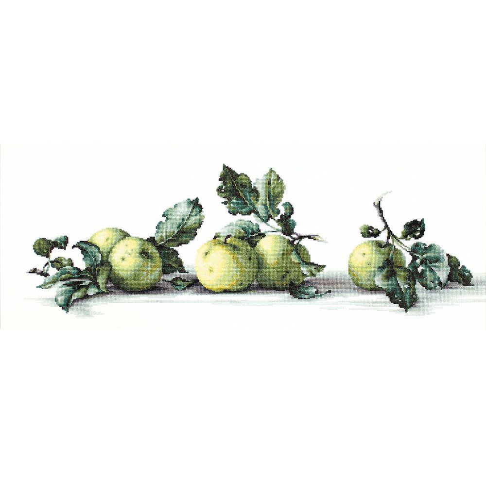 nature morte aux pommes - B2259 - Luca-S