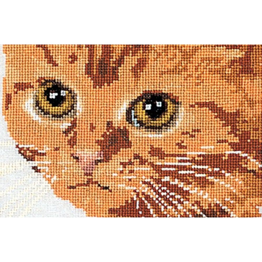 Kit De Point De Croix Thea Gouverneur - Chat à Poil Long Marron Sur Aida 12 - 30 X 40 Cm