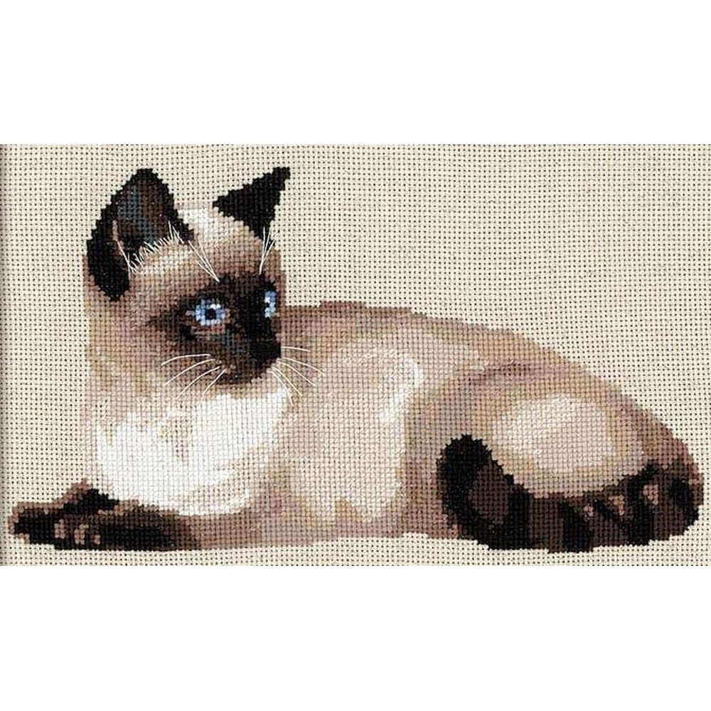 Chat siamois - 1066 - RIOLIS