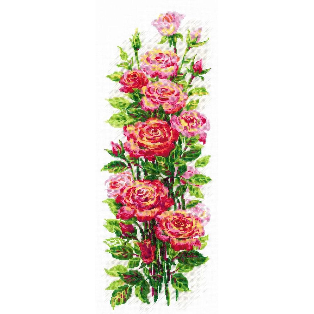 Roses en fleurs - 2057 - Riolis