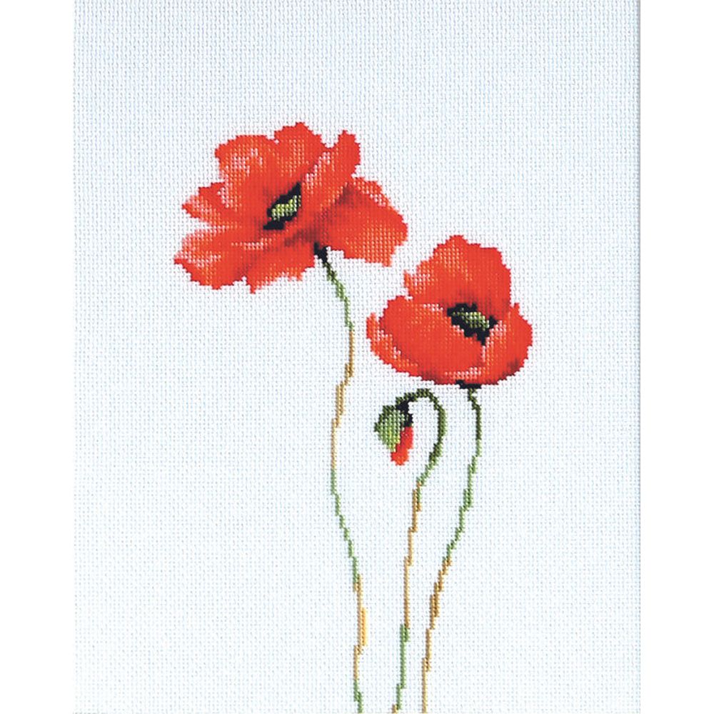 Coquelicots rouge - B2225 - Luca-S