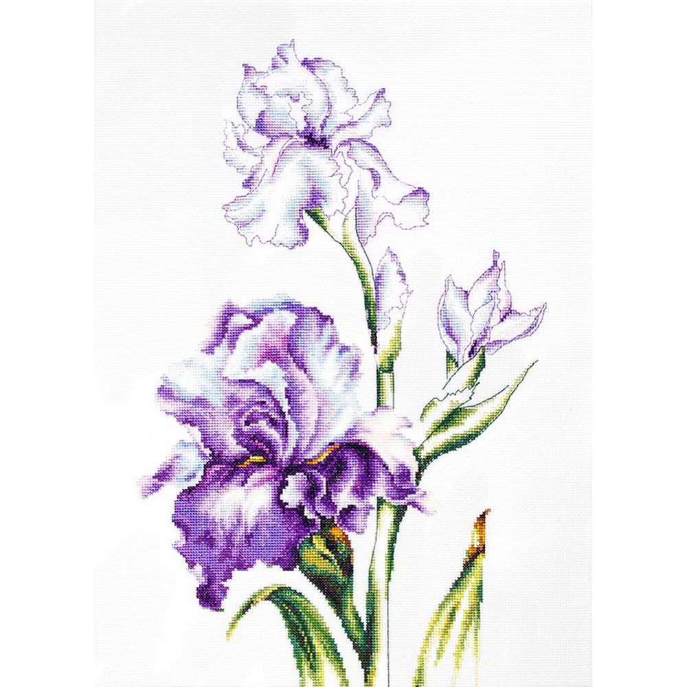 Fleurs Iris - B2251 - Luca-S