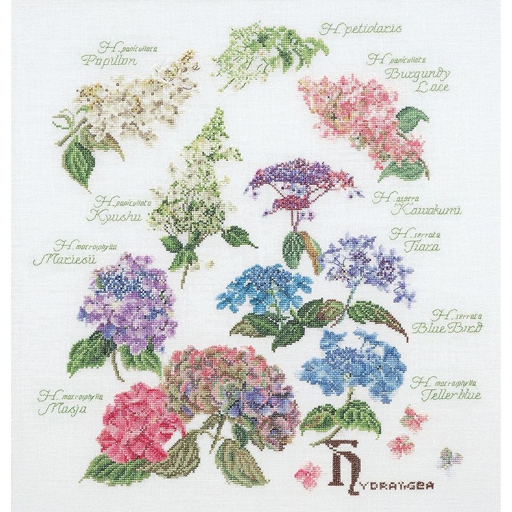 Hortensia - 3067 - kit Aida - Thea Gouverneur