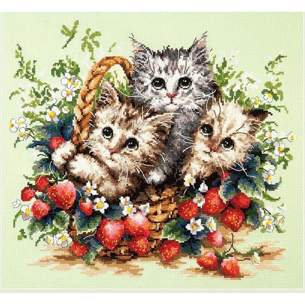 Kit De Point De Croix Complet Chat Siamois - Toile 11CT Imprimée 40x50cm, Fils DMC, Aiguilles - Idéal Débutant, Broderie Facile
