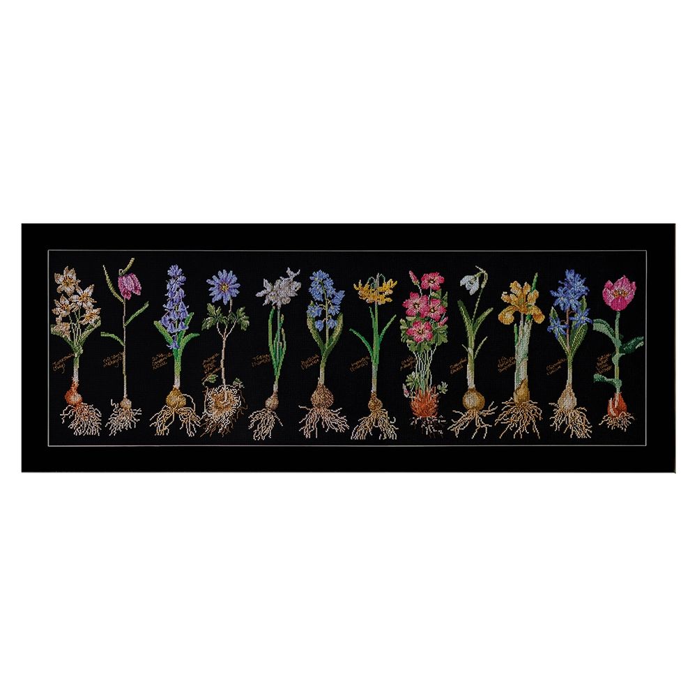 Fleurs à bulbe - 1087-05  Thea Gouverneur - kit Aida noir