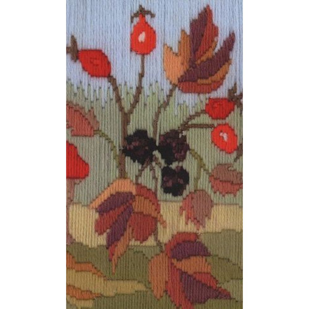Kit De Broderie Bothy Threads Motif Sittelle (Nuthatch) - Taille Finie 16x16 Cm