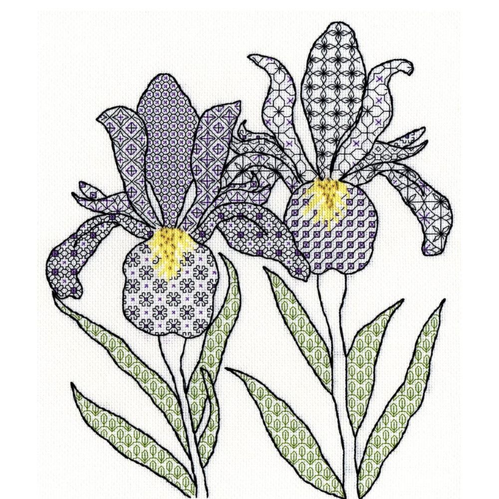 Irises noir - XBW5 - Bothy Threads - kit Aida -