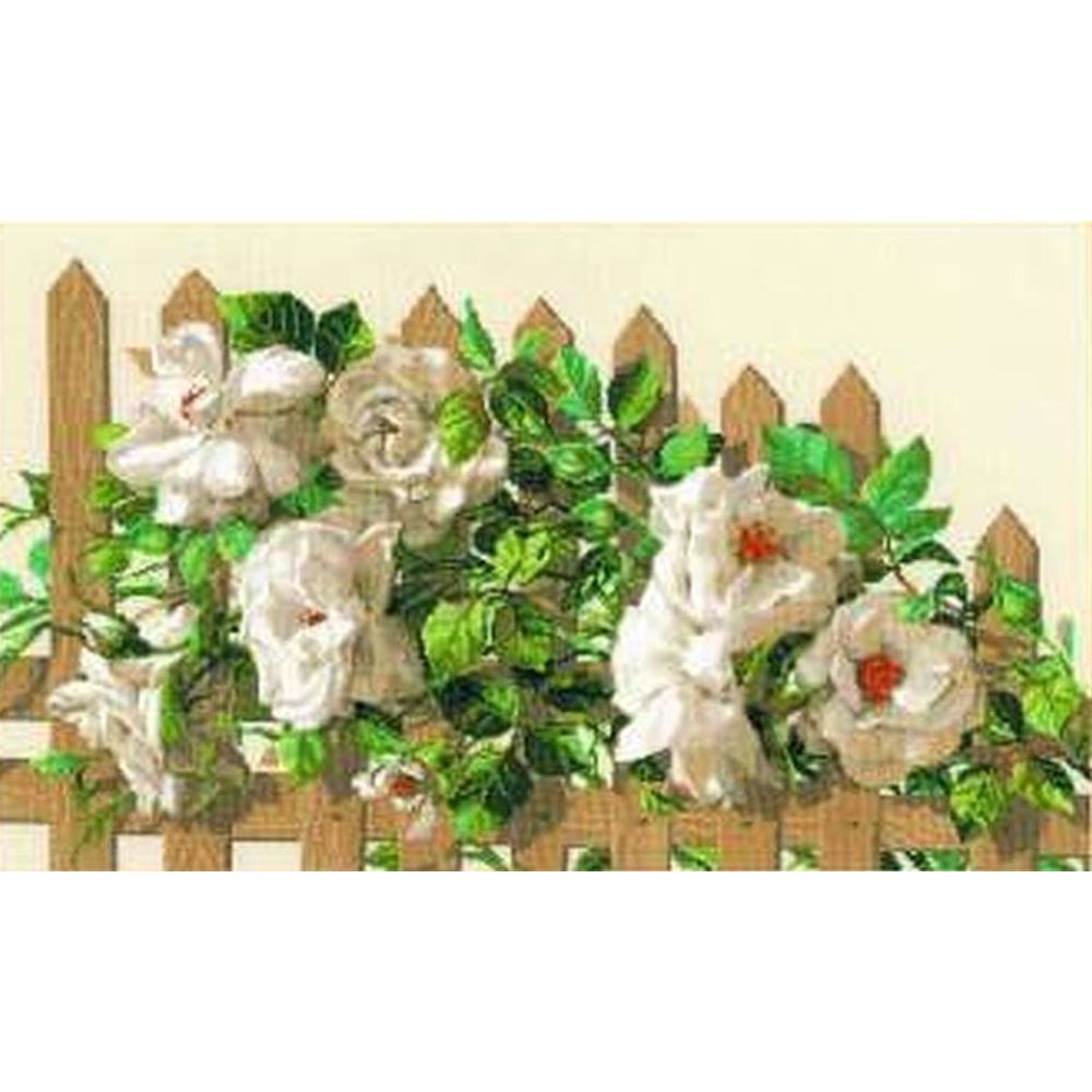 Rose blanche sur clôture - 1059 - Riolis