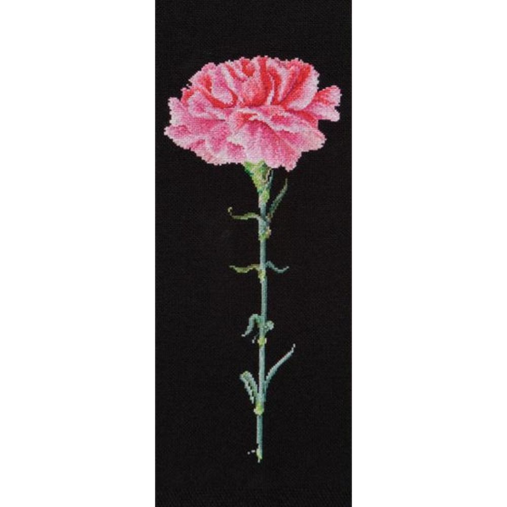 Oeillet rose - Carnation pink - 467-05 - Thea Gouverneur