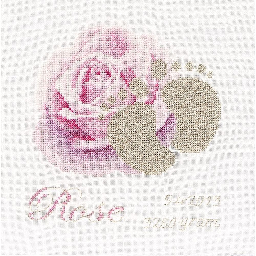 Tableau de naissance  Rose  508 Aida  Thea Gouverneur