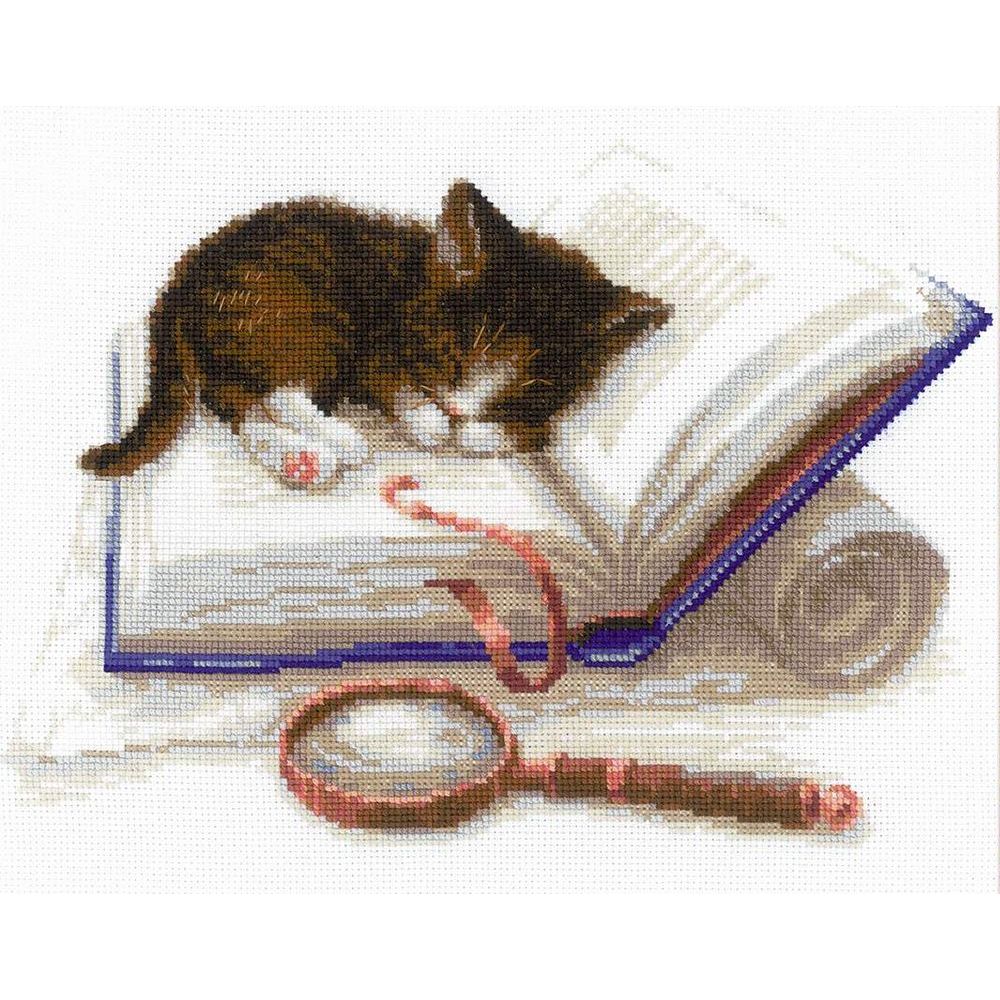 Chaton sur un livre  1725  Riolis