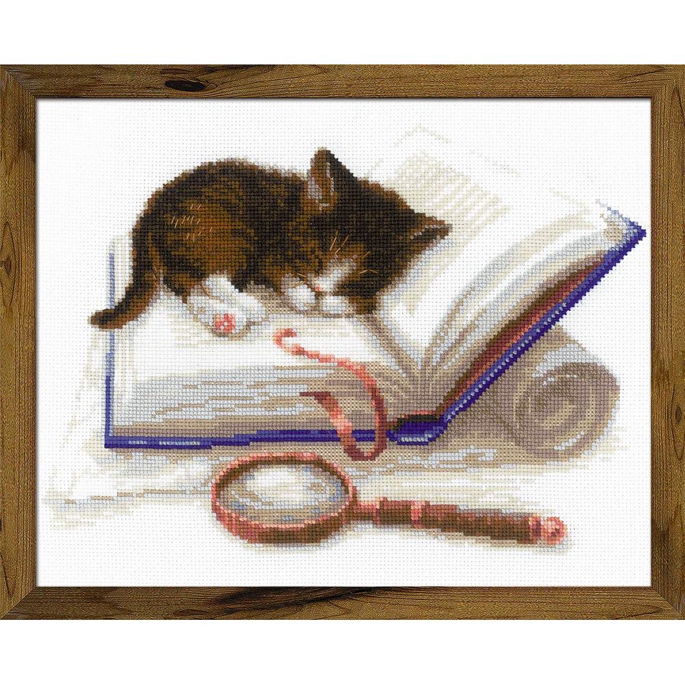 Kit Broderie Point De Croix 'Chat Des Villes En Hiver' Riolis RI-610 - 13x13 Cm, Toile Aïda, Fils Laine/Acrylique