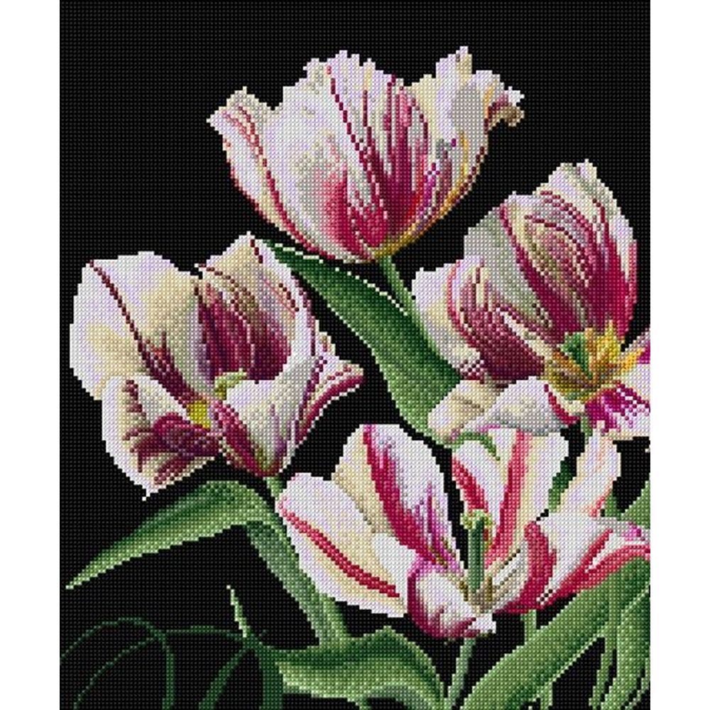 Thea Gouverneur 447-05  kit point de croix compté  Rembrandt Tulipes  1