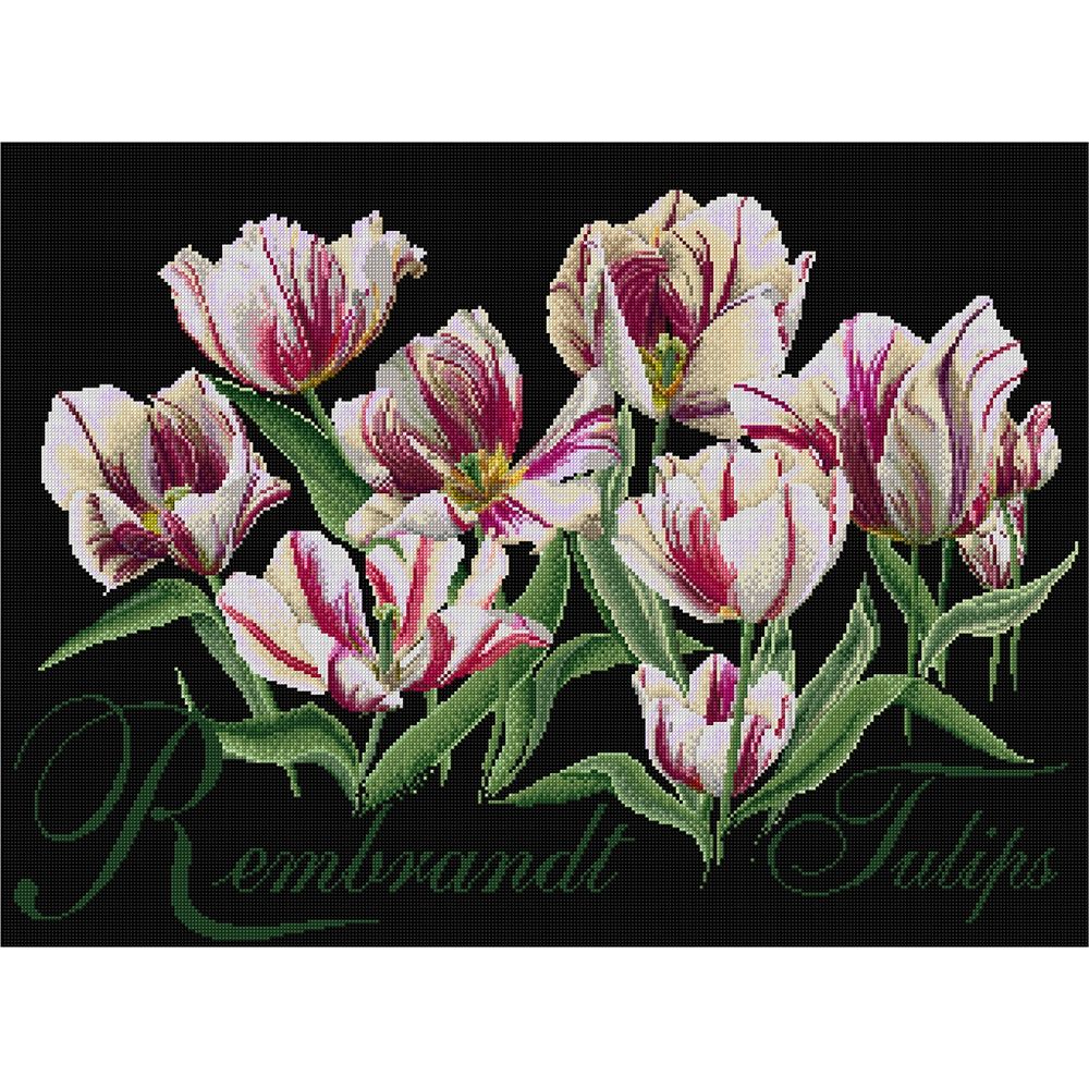 Thea Gouverneur 447-05  kit point de croix compté  Rembrandt Tulipes