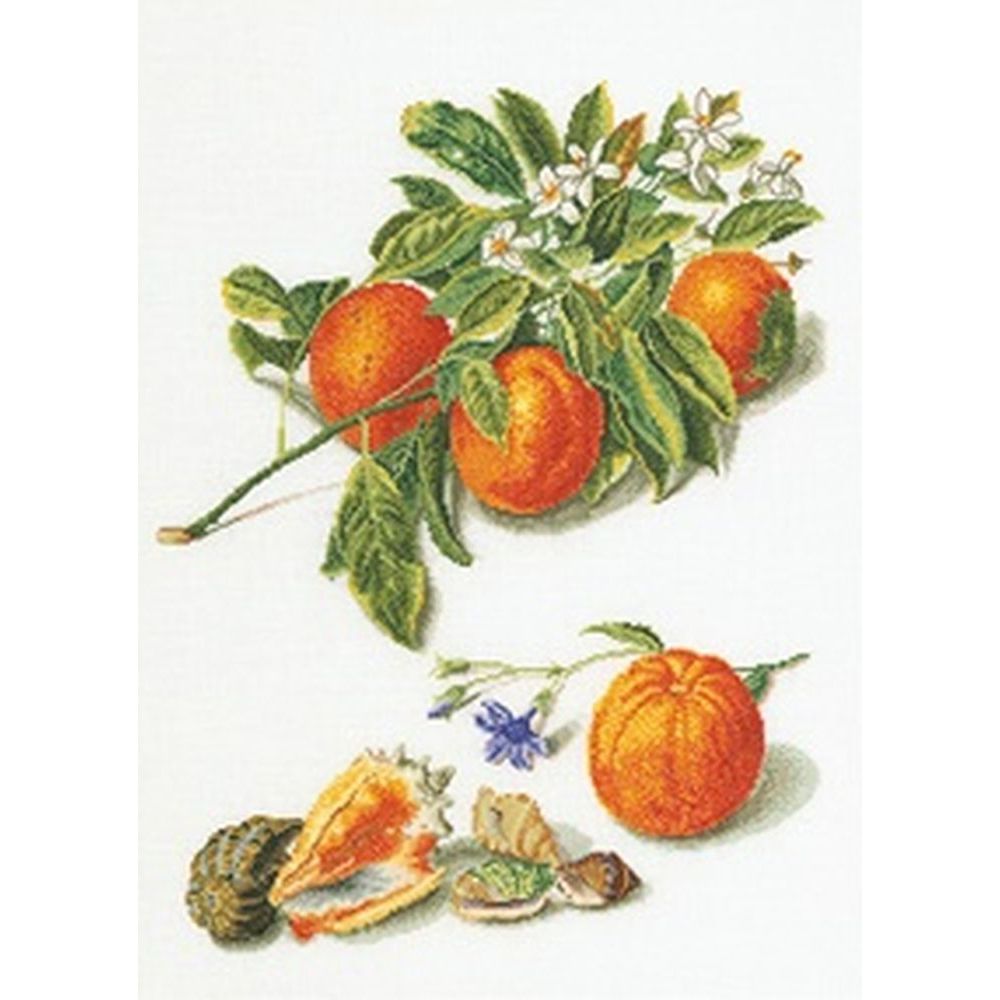Orange et Mandarine  3061 lin  Thea Gouverneur
