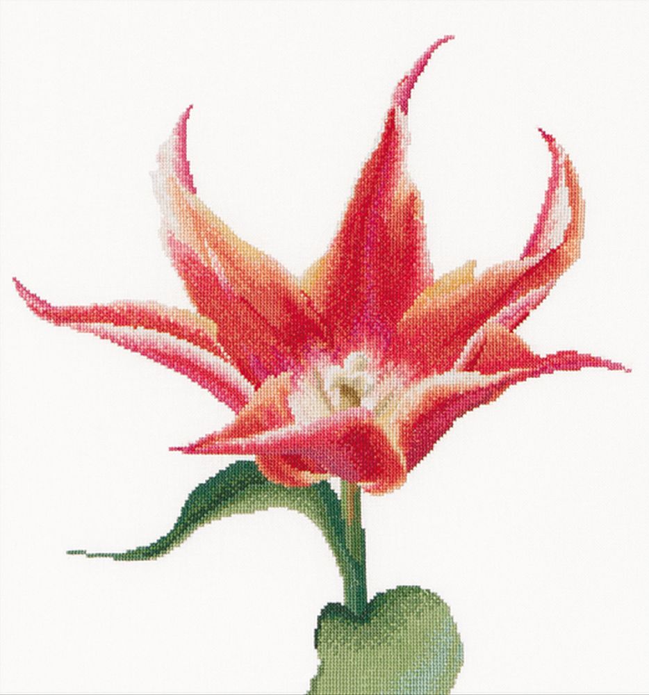 Thea Gouverneur  524A  Tulipe
