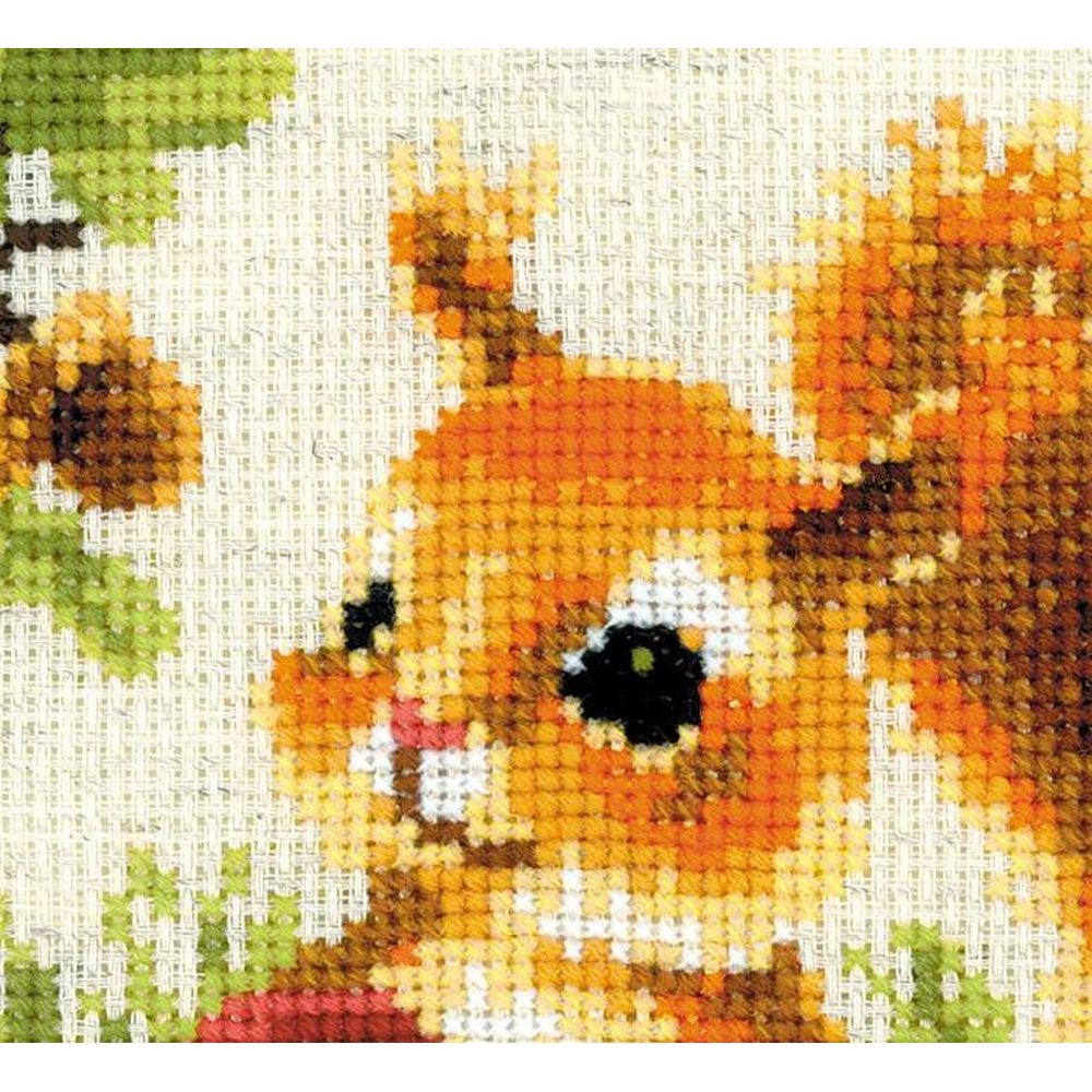 Kit Point De Croix Riolis - Motif Magnolia Du Sud - 30 X 24 Cm - Tissu Aida 14, Fils Anchor, Aiguille Et Schéma