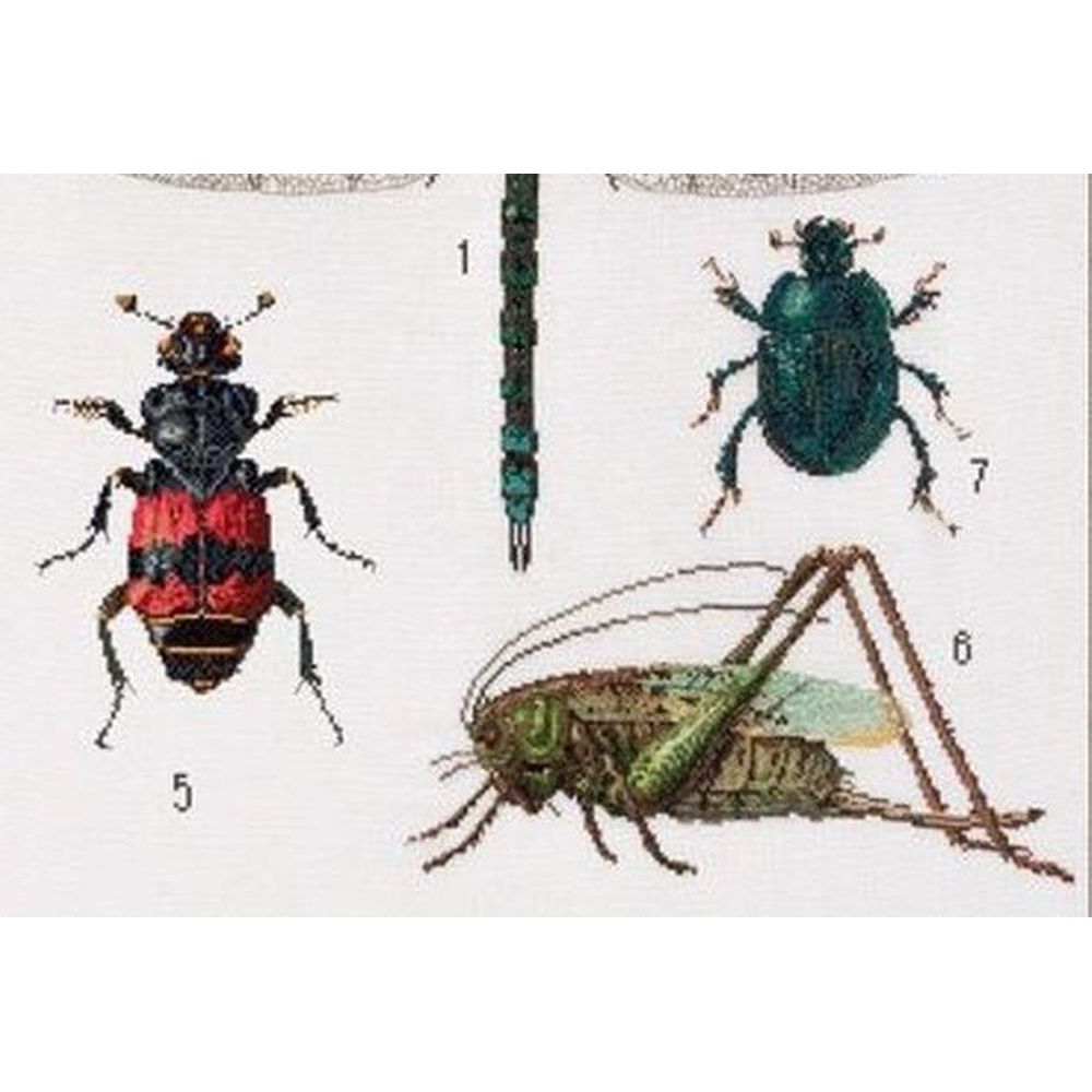 Thea Gouverneur 566  kit point de croix compté  Histoire des Insectes  2