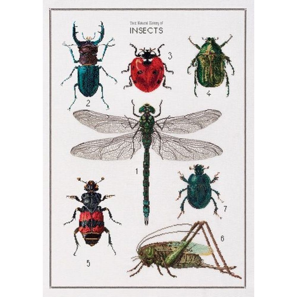 Thea Gouverneur 566  kit point de croix compté  Histoire des Insectes