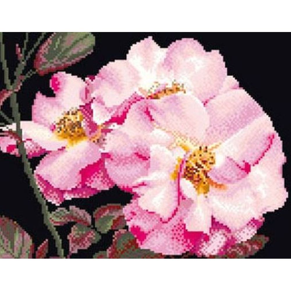 Thea Gouverneur 412-05  kit point de croix compté  Rosa Leersum  1