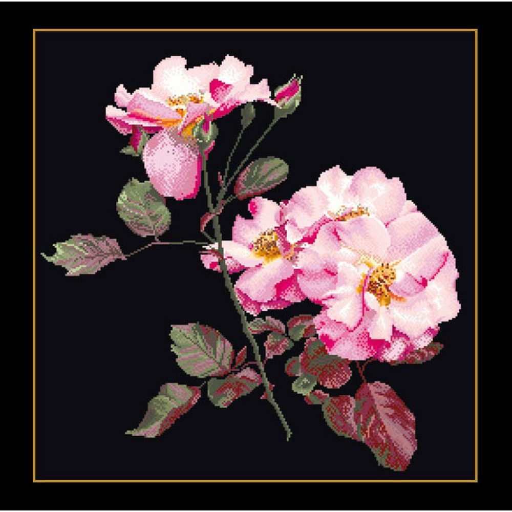 Thea Gouverneur 412-05  kit point de croix compté  Rosa Leersum