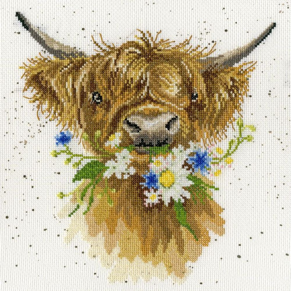 Bothy Threads XHD42  Vache Galloway  Daisy Coo  kit point de croix compté  La-Brodeuse