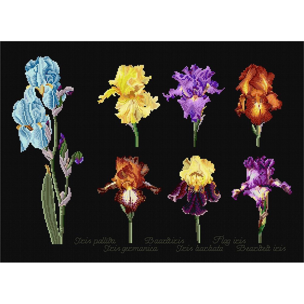 Irises  3051-05  Thea Gouverneur