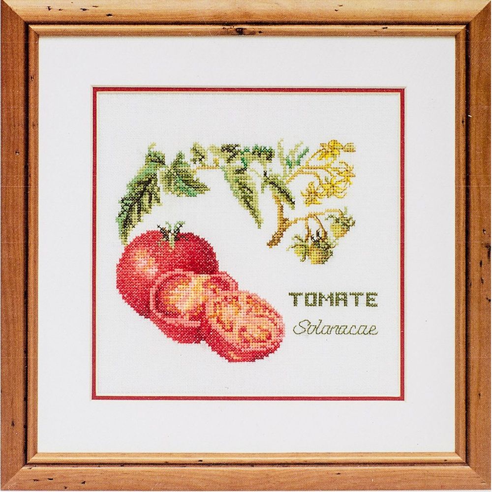 Thea Gouverneur 3040  kit point croix  Tomate  3