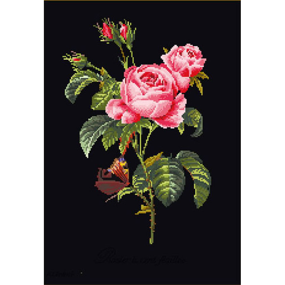 Thea Gouverneur  2030-05  Rose Redouté
