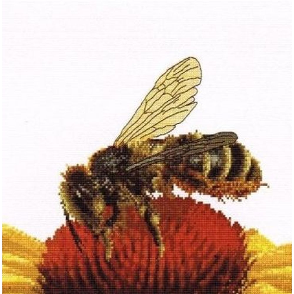Thea Gouverneur 585  kit point croix  abeille sur échinacée jaune  2