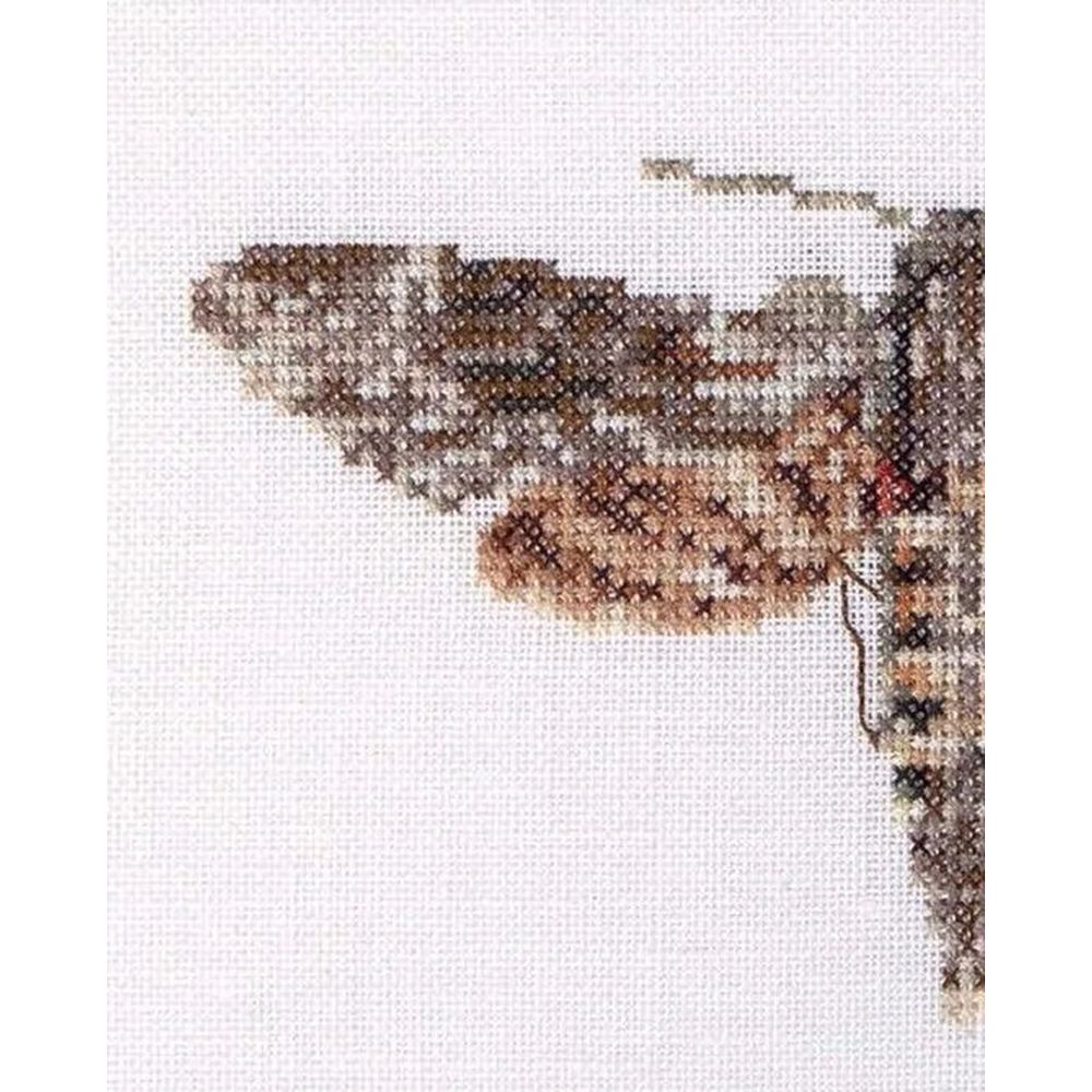 Thea Gouverneur 564  kit point de croix  Papillon Sphins  5