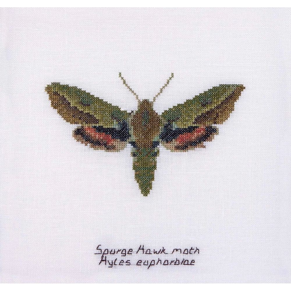 Papillon de nuit Euphorbe  565 lin  Thea Gouverneur
