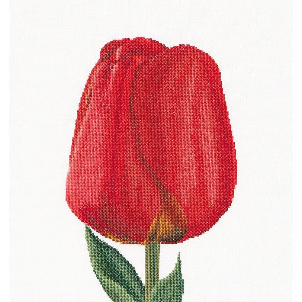 Thea Gouverneur 521  kit point de croix compté  Tulipe rouge
