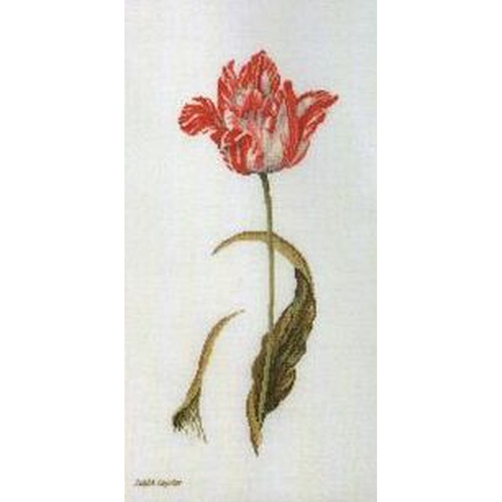 Thea Gouverneur 2039  kit point de croix compté  Tulipes  2