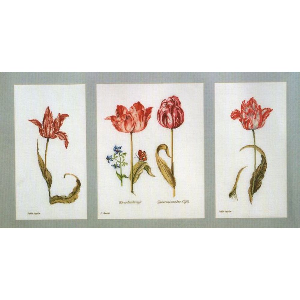 Thea Gouverneur  2039 lin  Tulipes